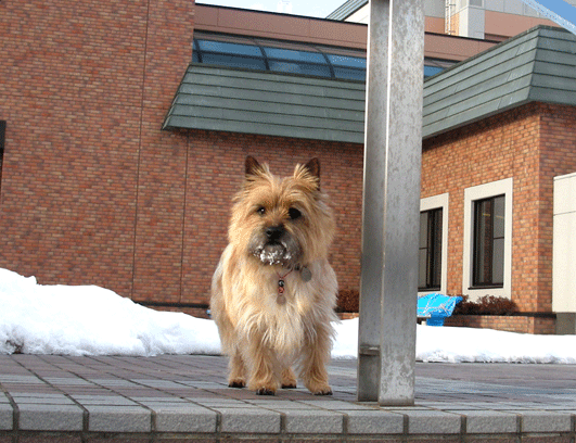 c0147548_1445575.gif