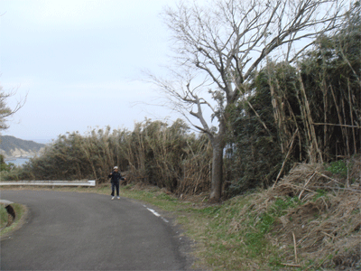 d0096356_2231355.gif