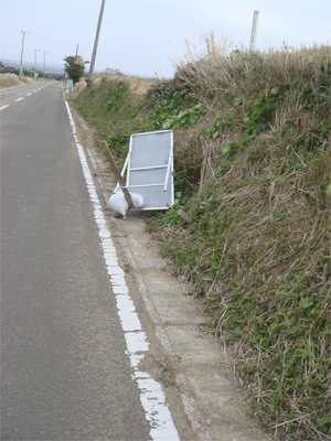 d0096356_22335981.gif