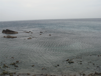 d0096356_22351661.gif