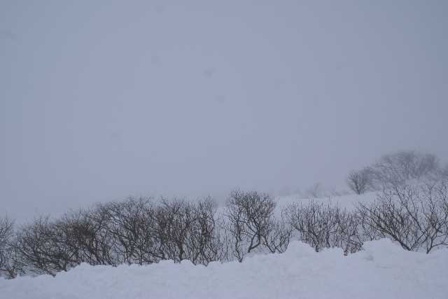 a0091666_19521036.jpg