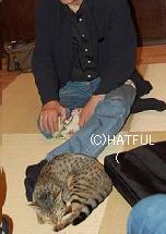 ノッポさんご夫妻、都内某所_a0099166_2305747.jpg