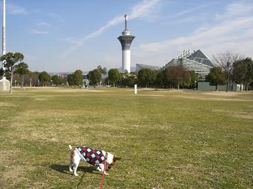 楽々コース???_d0134867_12243613.jpg