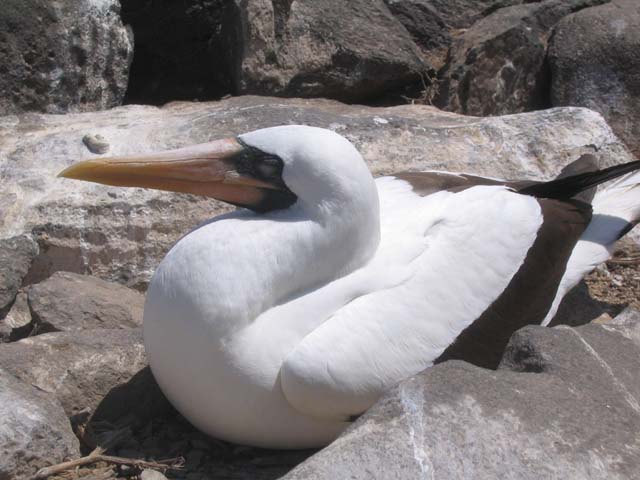 a0086274_20314666.jpg