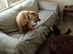 f0004775_04366.jpg