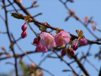 No.0293　大江戸探検隊「江戸城探検ツアー」_f0104277_2192824.jpg