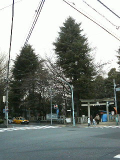 春の嵐_a0075684_20115851.jpg