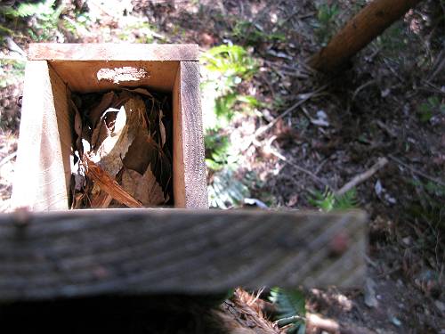 b0049200_1722874.jpg