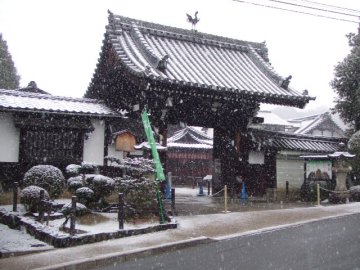 雪の中の極楽浄土：即成寺_f0120102_9788.jpg