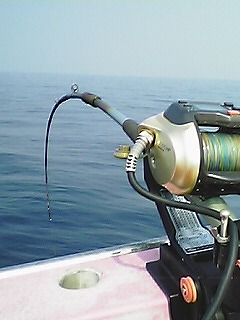 f0147602_10292820.jpg