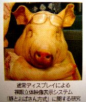 九州大学先導的デジタルコンテンツ創成支援ユニット１９年度発表会　_b0044404_14325481.jpg
