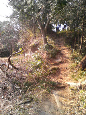 e0083204_1641881.jpg