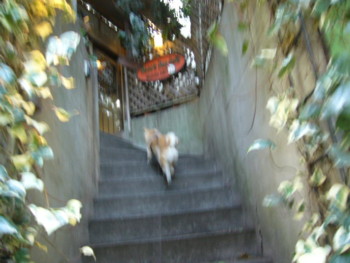 e0131506_23242947.jpg