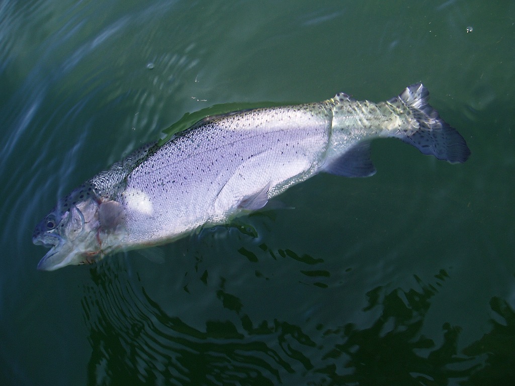 f0137709_2323507.jpg