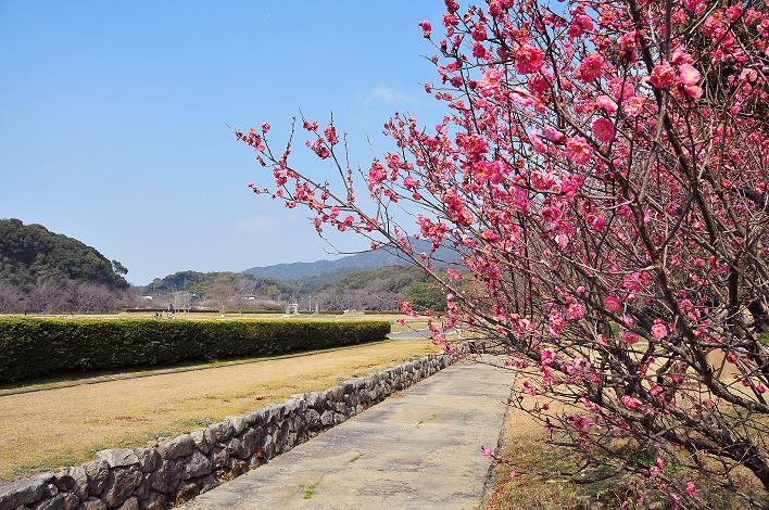 2月の観光 in 太宰府_a0042310_10354597.jpg