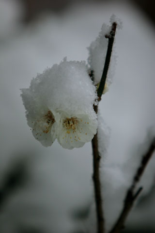 b0057612_23182420.jpg