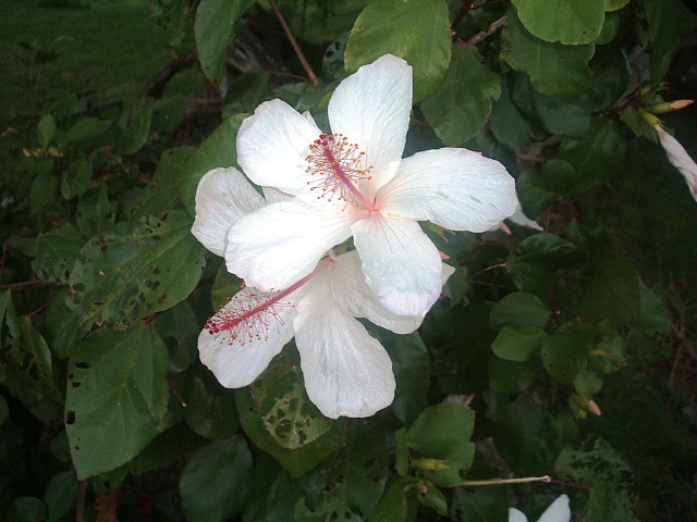 f0054720_0397.jpg