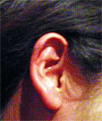 d0002224_93420.gif