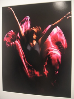 538) たぴお ③「写真展(10名) 『MOVE』」 終了・2月11日(月)~2月16 日(土) _f0126829_2064629.jpg