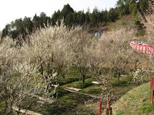 d0139231_1932018.jpg