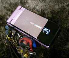 N905i☆ｎｅｗ_e0096331_20254073.gif