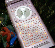 e0096331_20382488.gif