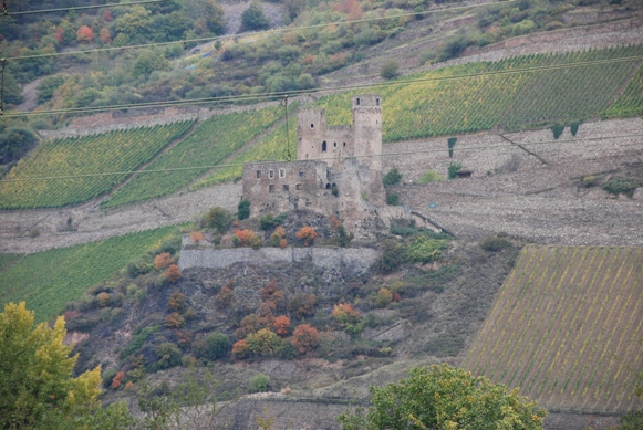 f0154935_11444059.jpg