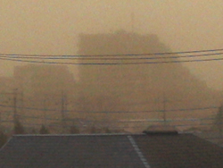 f0038336_94613.jpg