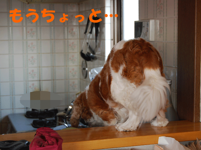 c0136838_17595469.gif