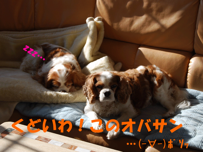 c0136838_18152216.gif