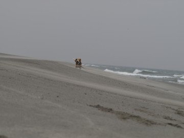c0119142_2359477.jpg