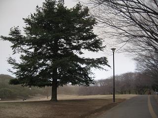 c0156345_16015.jpg