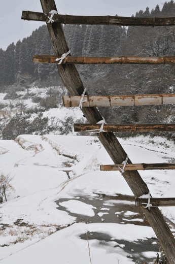 c0093046_13383515.gif