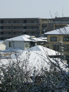 e0100046_17575268.jpg