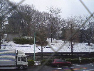 逗子は暖かい_f0044846_941428.jpg
