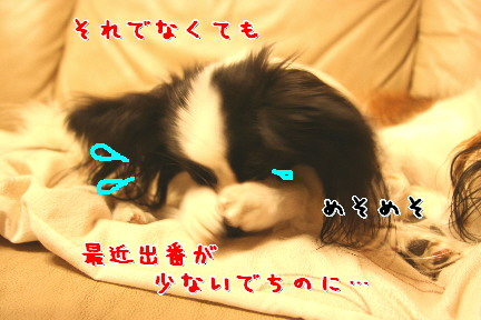 d0013149_812116.jpg
