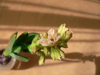 c0108853_1744491.jpg