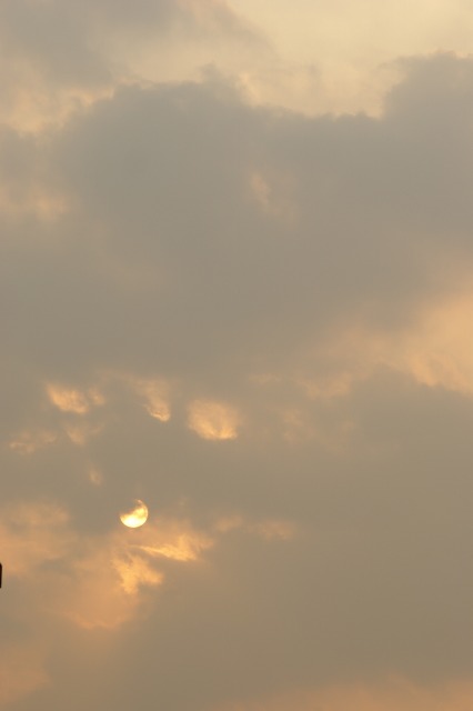 d0141365_19504992.jpg