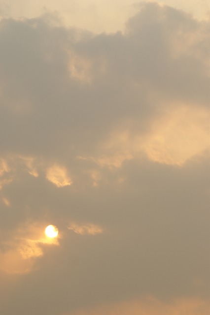 d0141365_19505794.jpg