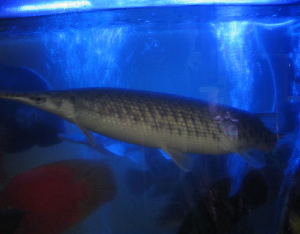 e0049877_39246.jpg