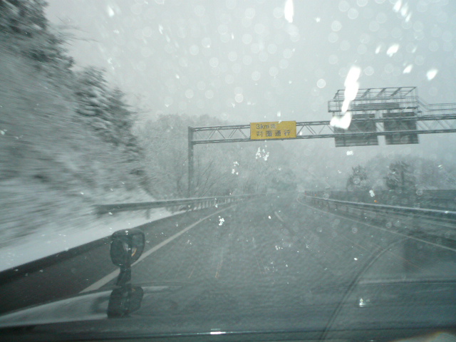 d0120282_2338357.jpg