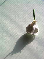 f0024090_194642.jpg