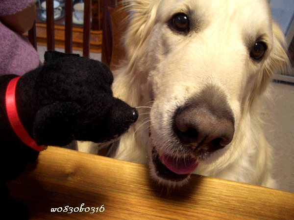 c0149893_15311100.gif