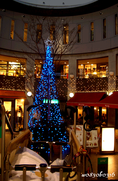 c0149893_205445.gif