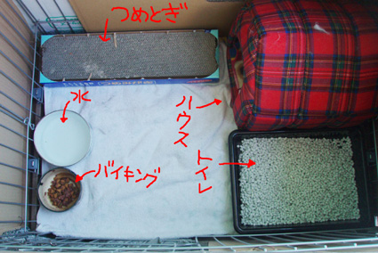 d0071596_1256564.jpg