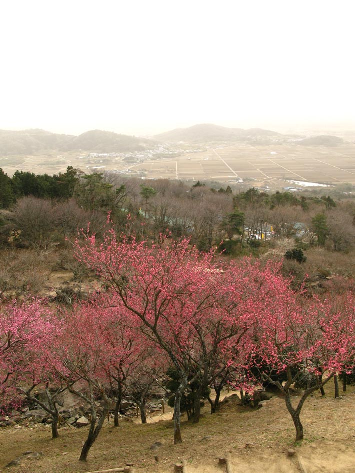 e0064400_35043.jpg