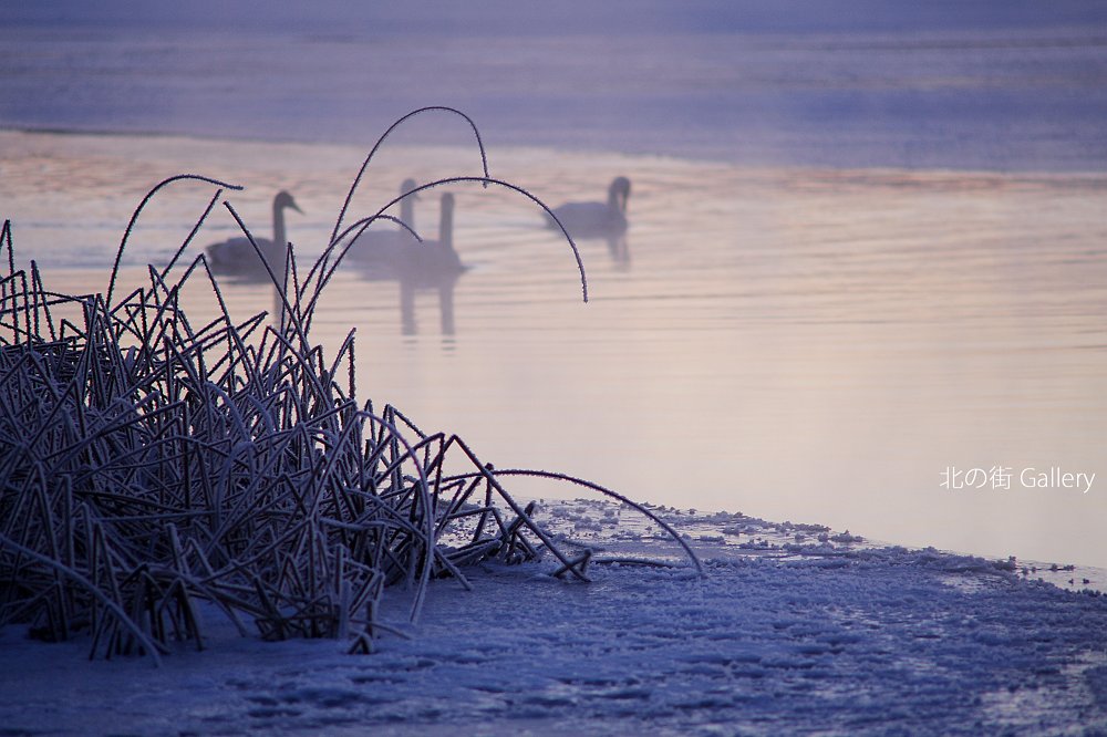 c0073613_05540.jpg