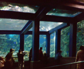 e0051234_91488.jpg