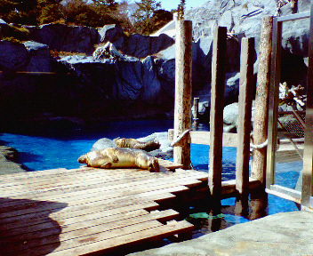 e0051234_97286.jpg