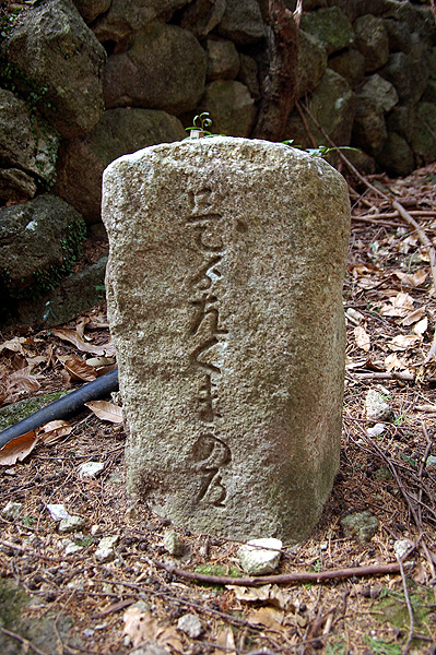 f0104037_15255863.jpg